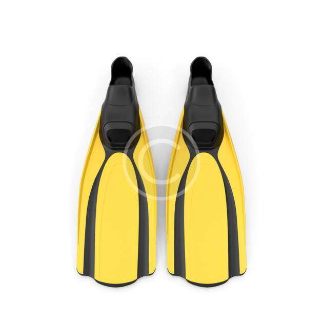 Diving Fins